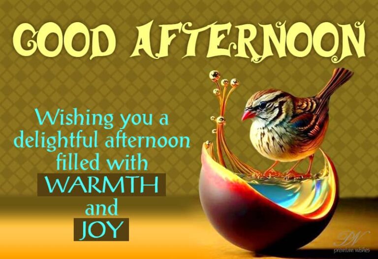 Good Afternoon Wishes