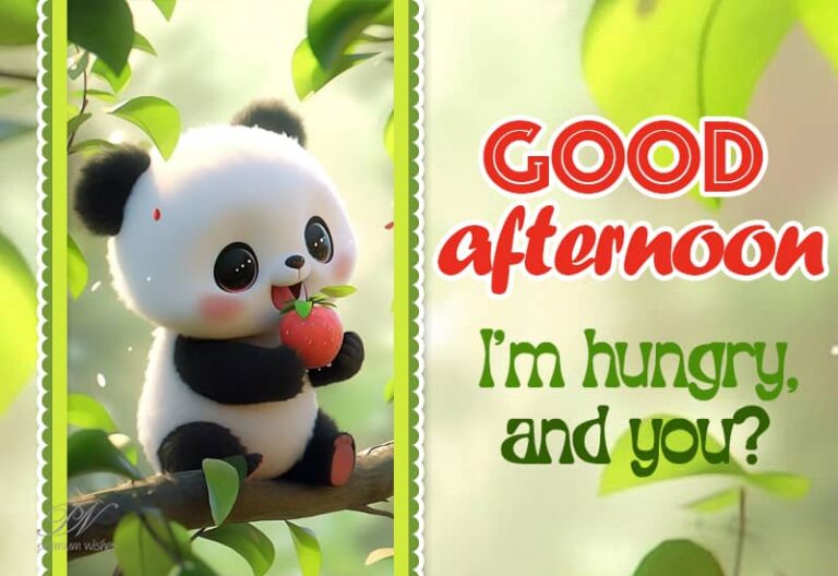 Good Afternoon Wishes