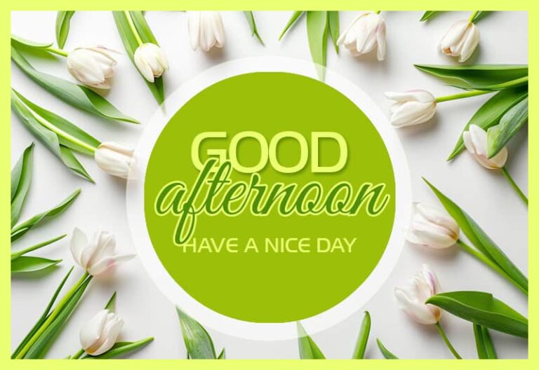 Good Afternoon Wishes