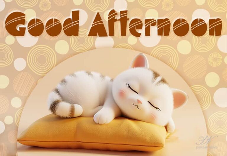Good Afternoon Wishes