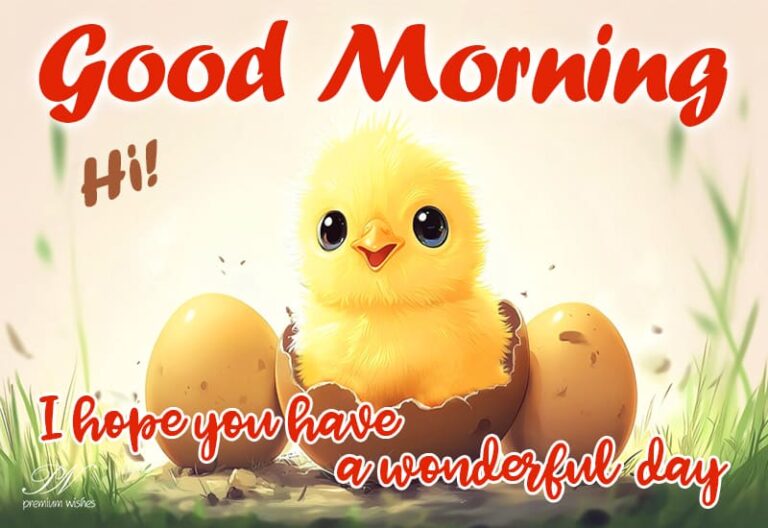 Good Morning – I hope you have a wonderful day