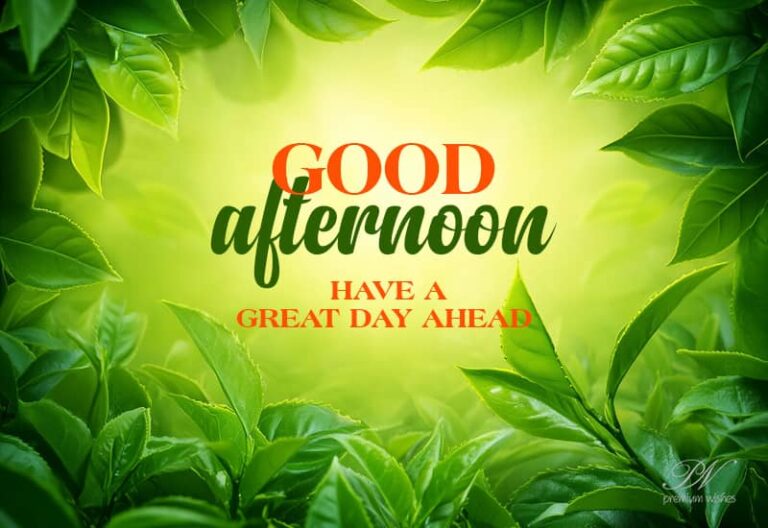 Good Afternoon Wishes