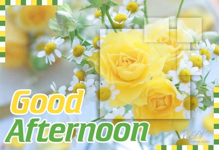 Good Afternoon Wishes