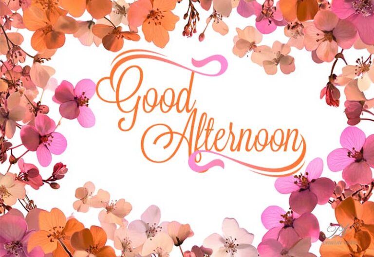 Good Afternoon Wishes