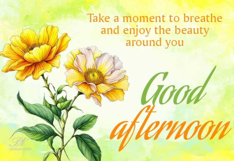 Good Afternoon Wishes