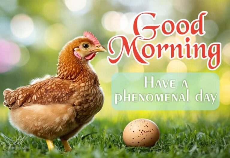 Good Morning – Have a phenomenal day