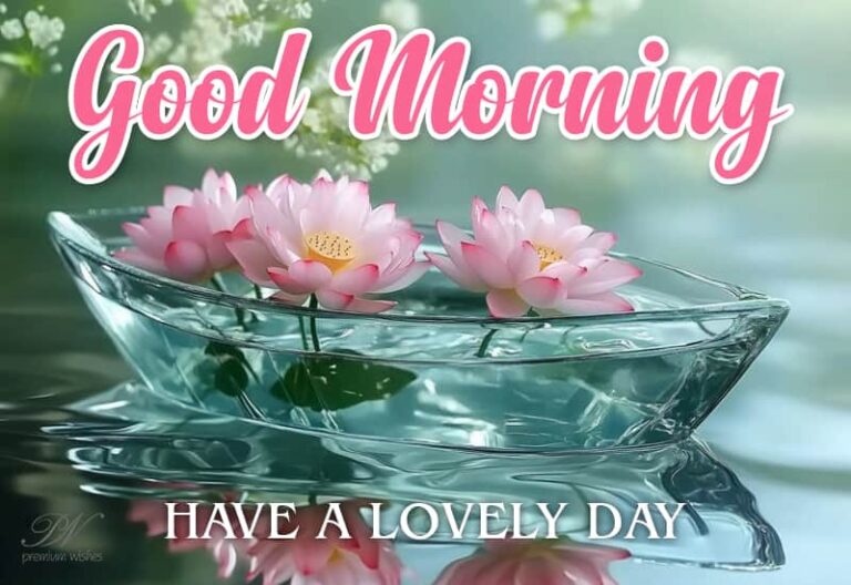 Good Morning – Have a lovely day friends – Smile and Enjoy