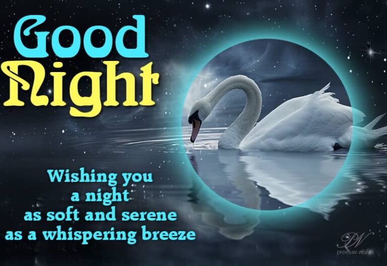 Good Night Wishes