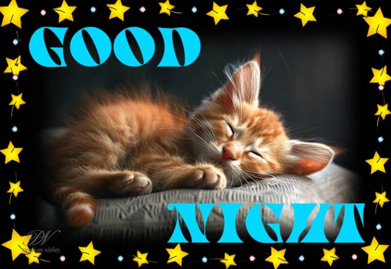 Good Night Wishes