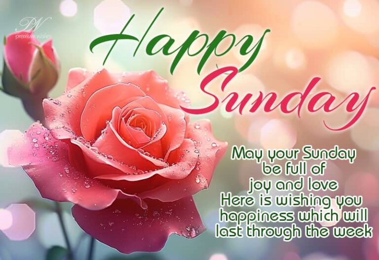 Happy Sunday – May your Sunday be full of joy and love