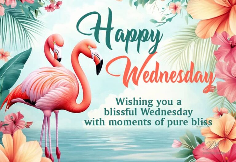 Happy Wednesday – Wishing you a blissful day