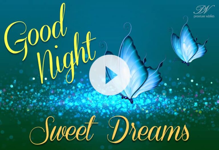 Best Good Night and Sweet Dreams Video – Sweet Dreams Whatsapp Status Video