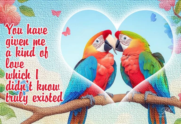 You have given me a kind of love which I didn’t know truly existed You have given me a kind of love which I didn’t know truly existed