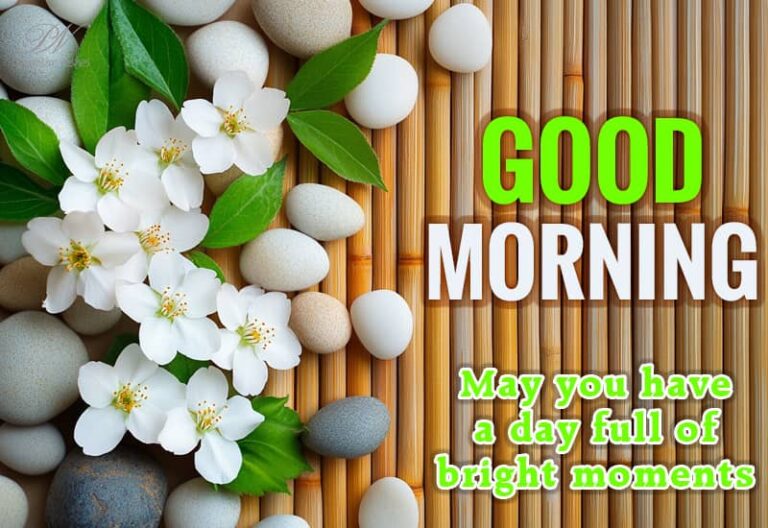 Good Morning – May you have a day full of bright moments