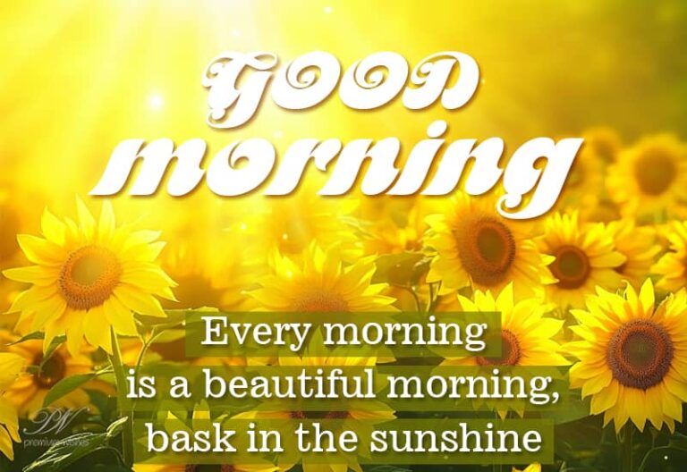 Good Morning – Every morning is a beautiful morning – bask in the sunshine