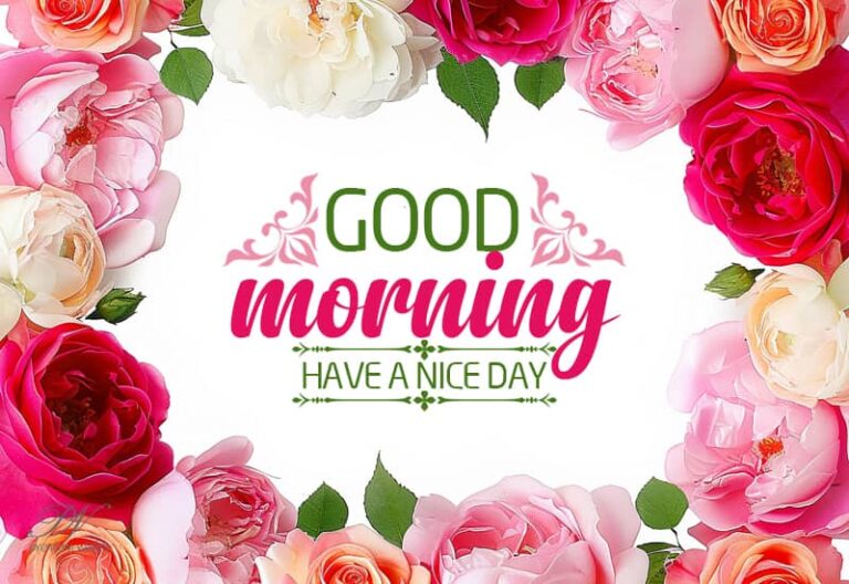 Good Morning Friends – Have a nice day – Smile and Be Happy Always Good Morning Friends – Have a nice day – Smile and Be Happy Always