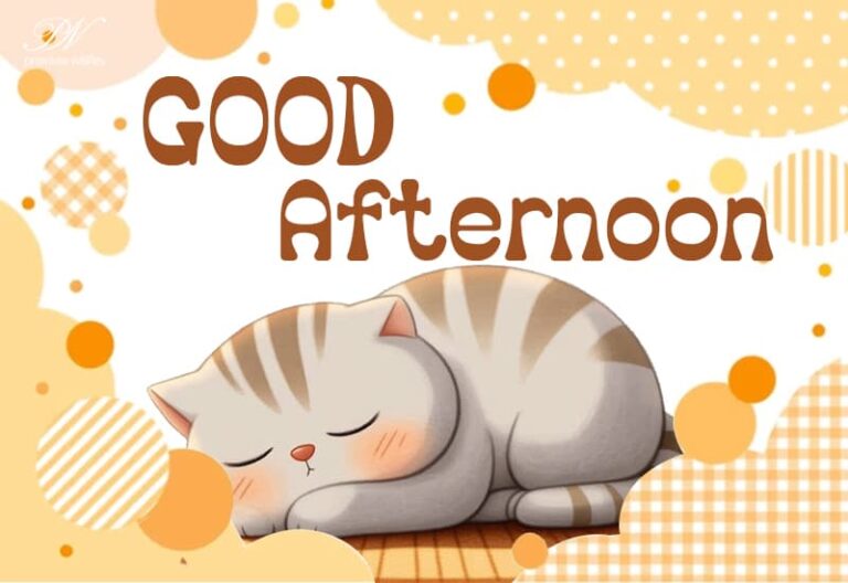 Good Afternoon Wishes