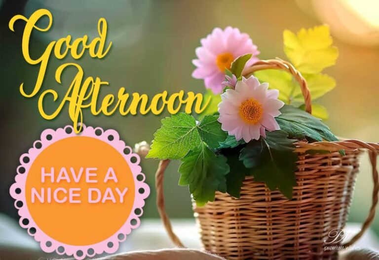 Good Afternoon Wishes
