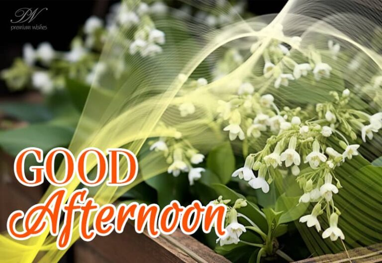 Good Afternoon Wishes