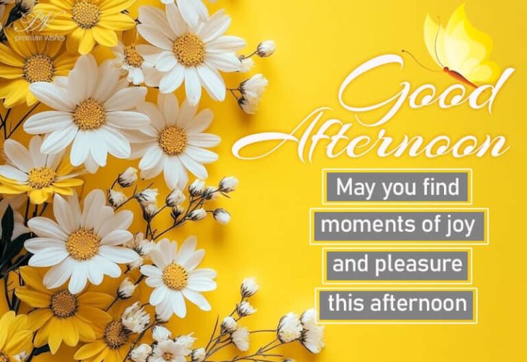 Good Afternoon Wishes