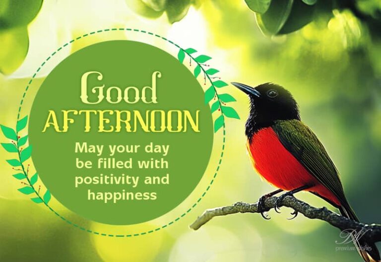 Good Afternoon Wishes