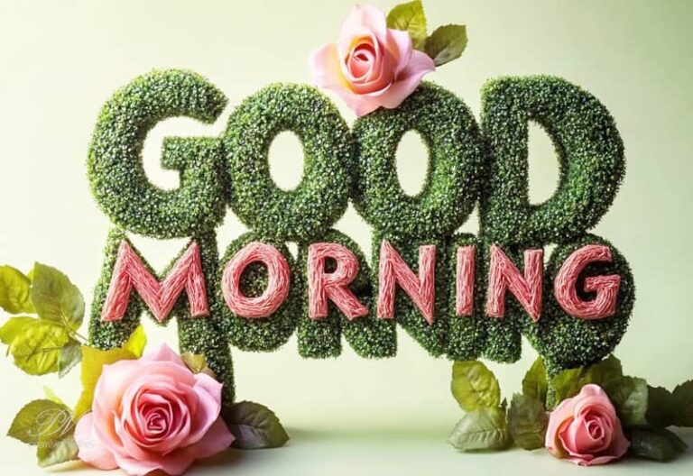 Good Morning – Have a happy day friends