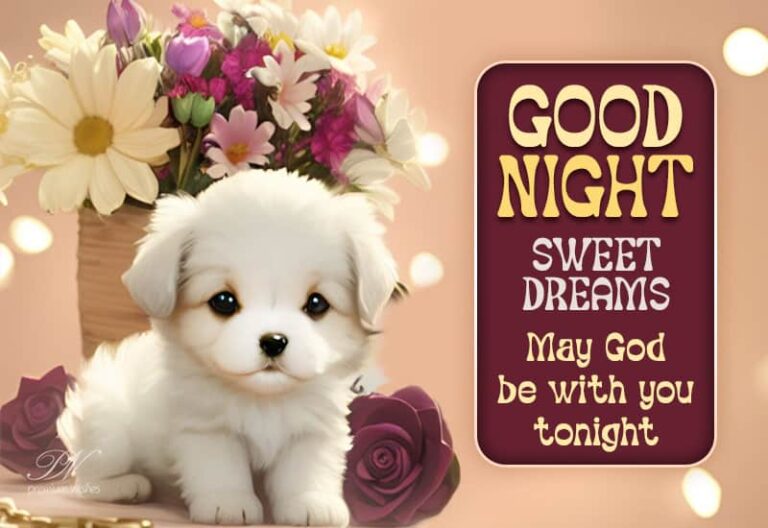 Good Night Wishes