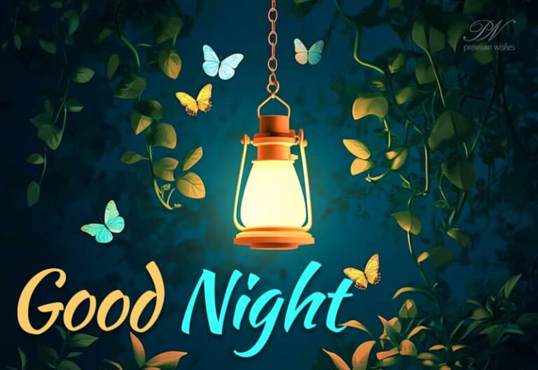 Good Night Wishes