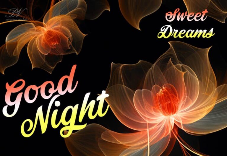 Good Night Wishes