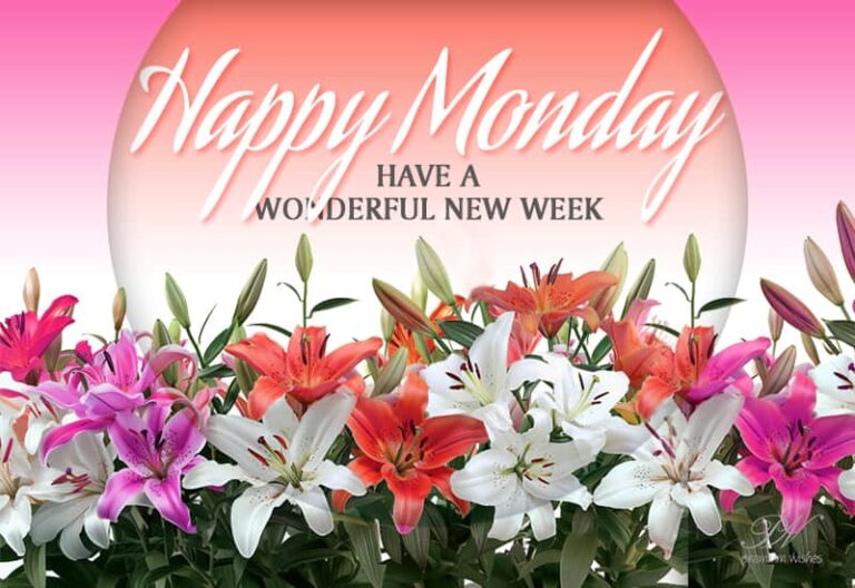 Happy Monday – Have a wonderful new week