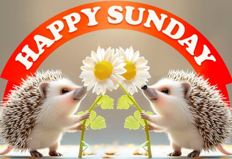 Happy Sunday – Meet Up and Be Happy With Friends