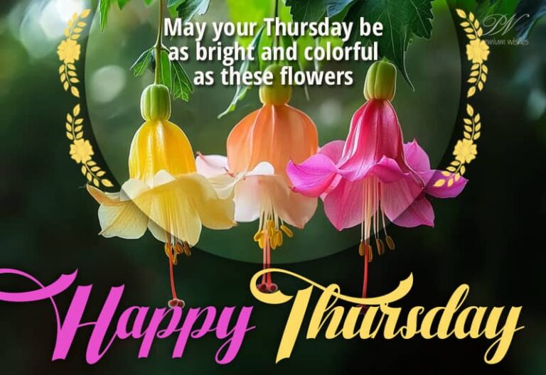 May your Thursday be as bright and colourful as these flowers