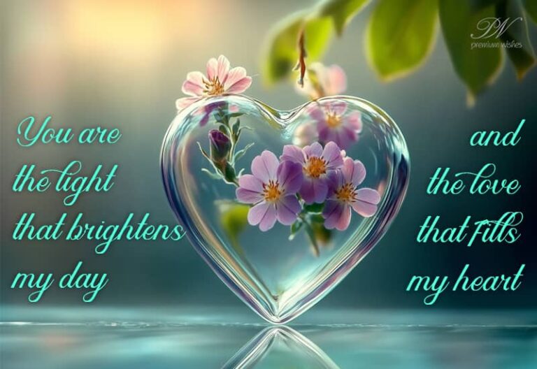 You are the light that brightens my day and the love that fills my heart