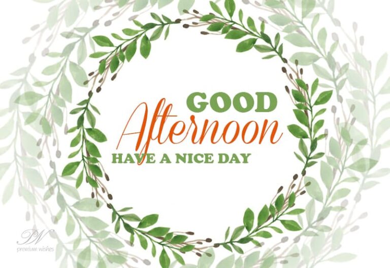 Good Afternoon Wishes