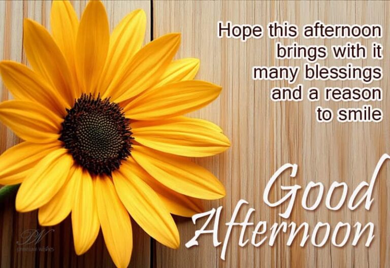 Good Afternoon Wishes
