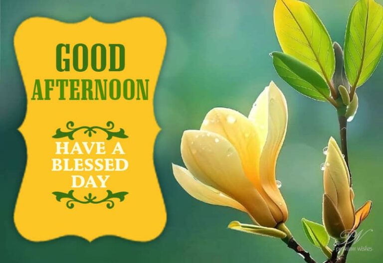 Good Afternoon Wishes