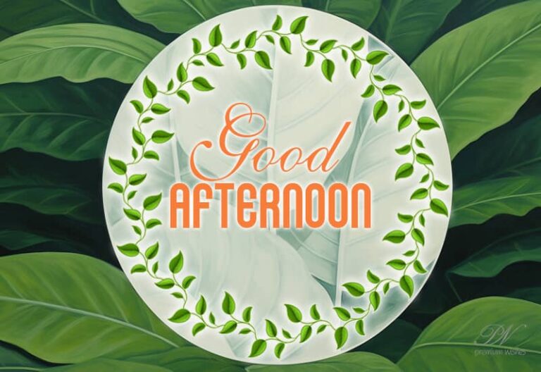 Good Afternoon Wishes