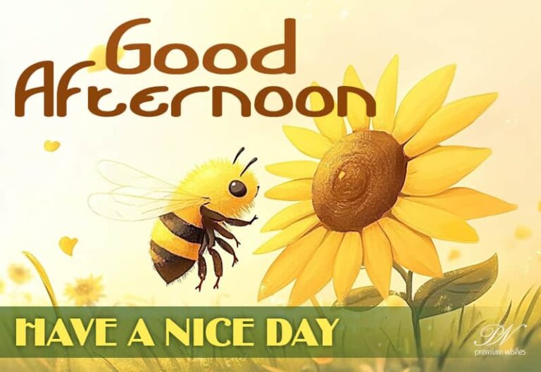 Good Afternoon Wishes