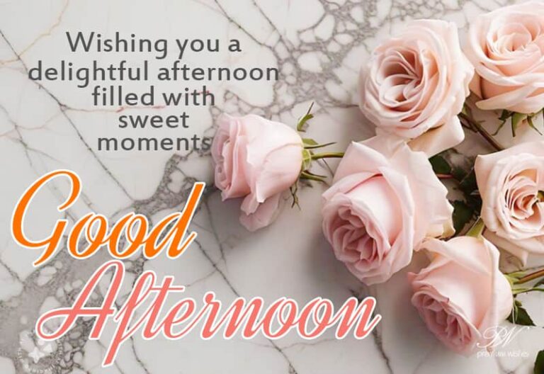 Good Afternoon Wishes