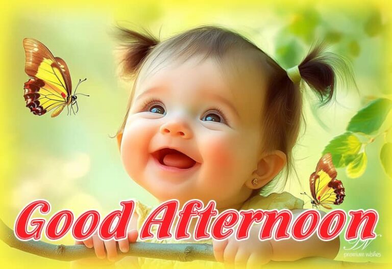 Good Afternoon Wishes