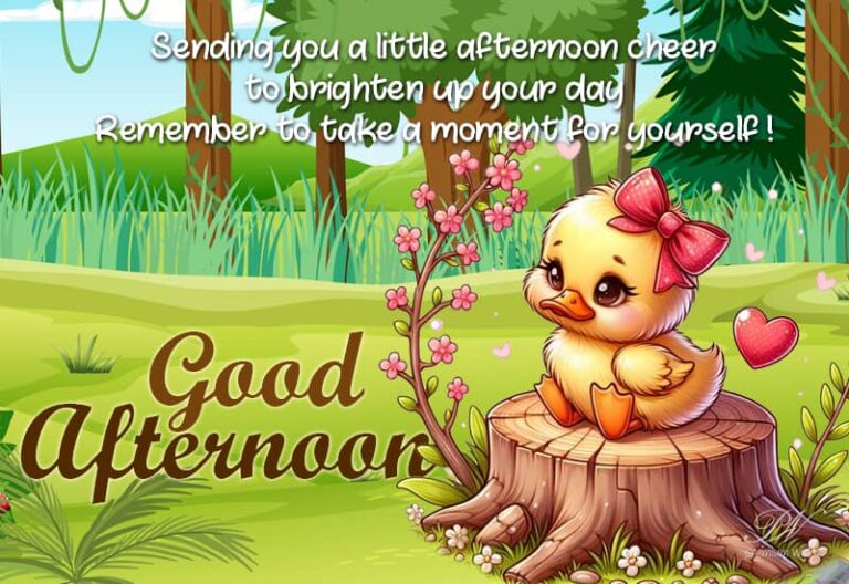 Good Afternoon Wishes