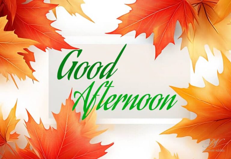 Good Afternoon Wishes
