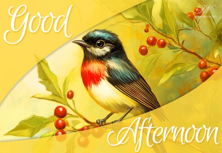 Good Afternoon Wishes