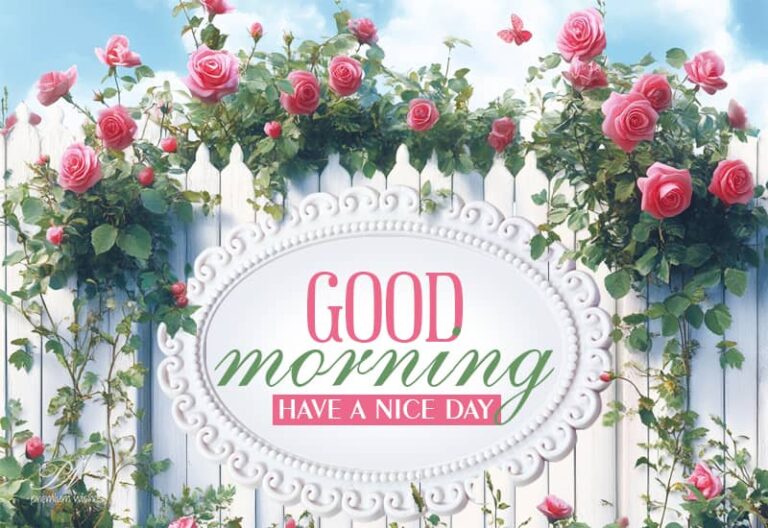 Good Morning – Friends have a wonderful day today