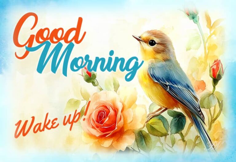Good Morning – Wake Up