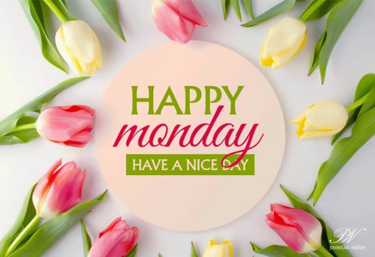 Happy Monday – Good Morning – Have the nicest day
