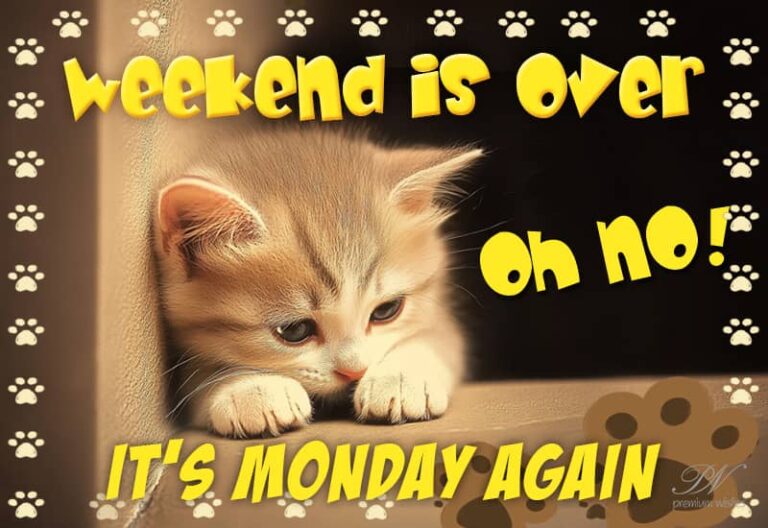 Weekend is over – It is Monday again – Good Morning