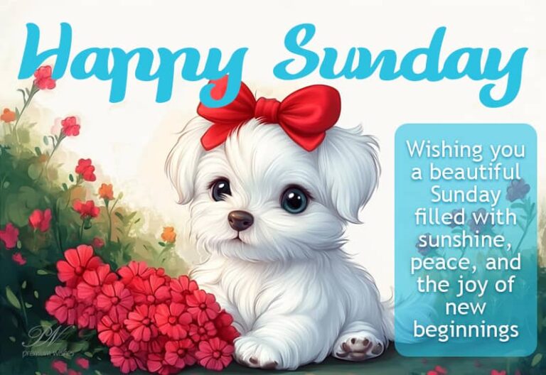 Happy Sunday – Wishing you a beautiful Sunday filled with sunshine, peace and the joy of new beginnings