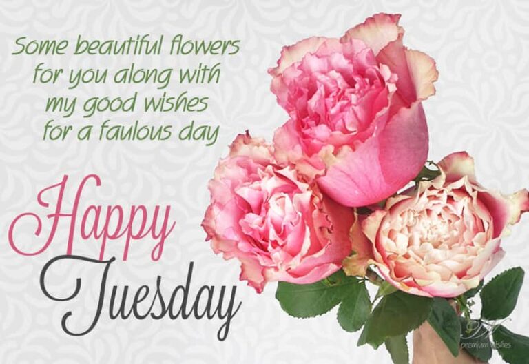 Some beautiful flowers for you doing with my good wishes for a fabulous day – Happy Tuesday