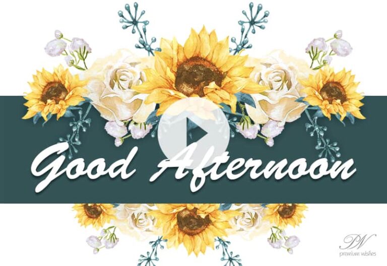 Best Good Afternoon Video with Sunflowers – Good Afternoon Wish with beautiful sunflowers